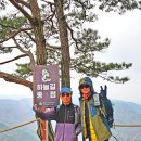 매화마을길 이미지