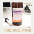 파우젠 네이버블로그