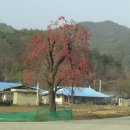 무화농장2 이미지