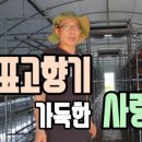 김형표농장 네이버블로그