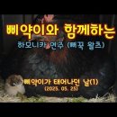 삐약이농장 이미지