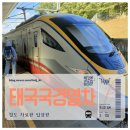 [남부] (야간)간단한끼요리 | 태국 남부 국경 파당브사르에서 말레이시아 쿠알라룸푸르 야간열차