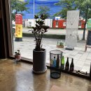 스시호세 | 마산동 스시호세 첫방문 내돈내먹 후기