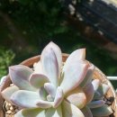 먼로농장 이미지