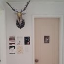 레크레오(recreo) 이미지