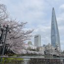 식구 - 여수시 강남해안로 11 | 식구