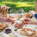 더블트리 바이 힐튼 서울 판교 이미지