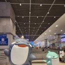 세븐일레븐 부산온천금강점 | 노랑풍선 부산 대마도 1박2일 패키지 여행 후기!