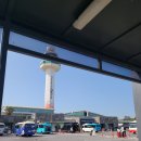 (주)에스제이렌트카 | 6월초의 일상) 여름의 제주 the 1st day : 제주공항-우진해장국-이호테우해수욕장-하나로마트