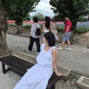 보도중로 2-22 | [공지] 삿포로 여행 3박4일 2탄 비에이버스투어 알짜배기코스 내돈내산 후기