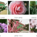 대동환경 이미지