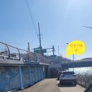 강구신대교 이미지