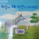 파란지 이미지