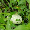 우리집펜션민박 이미지