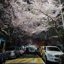 학익동 동아풍림아파트 앞 이미지