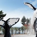 부산해양자연사박물관 이미지