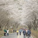 금산