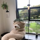 가평하늘정원 | [정보]경기도 어디까지 가봤니? 가평 아침고요수목원