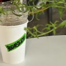 쓰리오벌 스토어(3oval store)