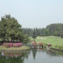 그랜드골프클럽주 네이버블로그