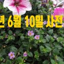 매교역우리공인중개사사무소 이미지