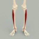 하늘한의원 이미지