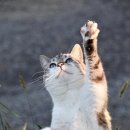 간석자유시장1 이미지