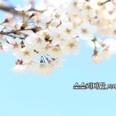소소리 Daum카페