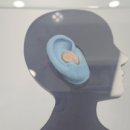 금강보청기 서구센터 이미지