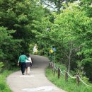 호명호수(갤러리) 이미지