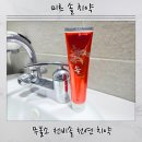 솔치로 | 백세푸드 미르솔치약 후기｜무불소 치약으로 잇몸 편안해진 천연 치약 사용기