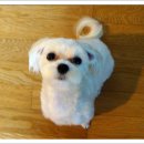 말티네 집 이미지