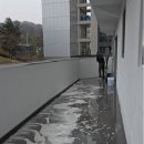 맑은세상