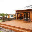 Maroon stay 이미지