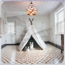 폼스키 | 대구 중구 폼스키분양 상담 후기 결국 브리더 찾기로 결정한 이유