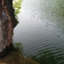 강나루민박 이미지