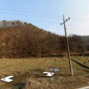 비발디 후문 이미지