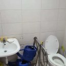 장애인을 위한 화장실은 없다…청소도구만 가득할뿐... 이미지
