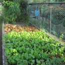 가곡농장 이미지