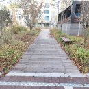 첫마을6단지 버스정류장 이미지