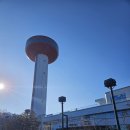 예산-23 | 아이와 함께 가기 좋은 예산 여행 코스 🌿 예당호 전망대·모노레일·출렁다리 후기