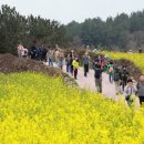 슬로라구 이미지