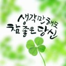 행운 Daum카페