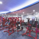 바디메이트 이미지