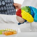 고려보청기 이미지