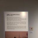 미셸고양 | 예술의전당 전시 이자벨 드 가네 전시회 후기