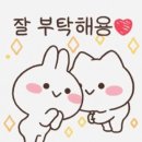 유성오토스 이미지