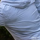 메가웨이브(MEGAWAVE) 이미지