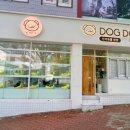 도그도기 이미지