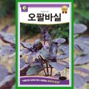 씨앗 - 남양주시 덕소로116번길 11 | 씨앗